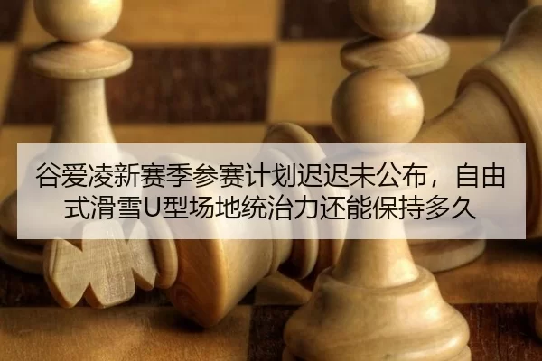 gu-ai-ling-xin-sai-ji-can-sai-ji-hua-chi-chi-wei-gong-bu-zi-you-shi-hua-xue-xing-chang-di-tong-zhi-li-hai-neng-bao-chi-3-237.jpg